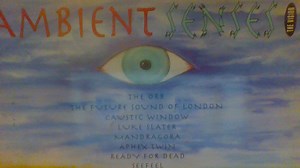 Various - Ambient Senses - The Vision