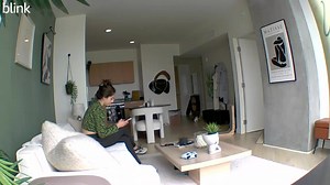 These cats were playing in the living room. Their owner had left them under the care of a pet sitter while they were out of town. One of the cats ended up breaking a showpiece on the table while chasing its fellow. | Jukin Copyright Management