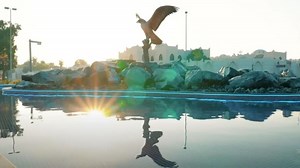 Video: Stunning UAE landmark has falcons, desert oasis