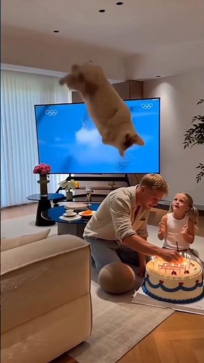 amazing funny video #funny #shorts