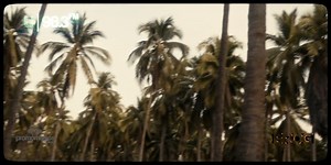 "El Chico", canción y videoclip con el que Siddhartha nos muestra un poco de su infancia 👦🏻 🎶 | ULTRA FM 98.3