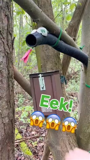 Geocaching on Instagram: "We love a good snake pun… 🐍 We think they’re ‘hiss’-terical 🤣 Video by teamfaint. Video: A geocacher stands in the woods next to a cluster of thin trees. Tied to one of the trees is a wooden box with the geocaching logo. The cacher unlocks the front of the box and removes a metal chain and a magnet. To the right of the box is a flexible plastic tube tied to another tree and decorated like a snake. They move the magnet along the length of the tube to the snake’s mouth,
