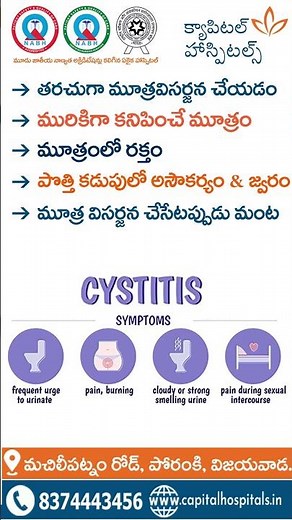Cystitis – Causes, Symptoms & Treatment Explained | Capital Hospitals