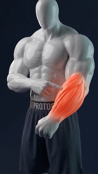 3 Forearm Moves You Can Do Anywhere (No Equipment, No Excuses)