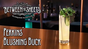 Join us for a cocktail on Monday 3/11 at 7pm Pacific on twitch.tv/criticalrole and the next episode of #BetweenTheSheets with Brian W. Foster, feat. special guest Christopher Perkins! Until then, learn how to make a non-alcoholic Blushing Buck from Foster himself. Season 2 cocktails curated by Henry Oh, Alexandra Kuechler-Caffall & Tyler Caffall. | Critical Role