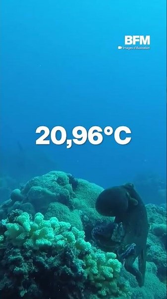 Ocean temperatures hit an all-time high for any July in 2026
