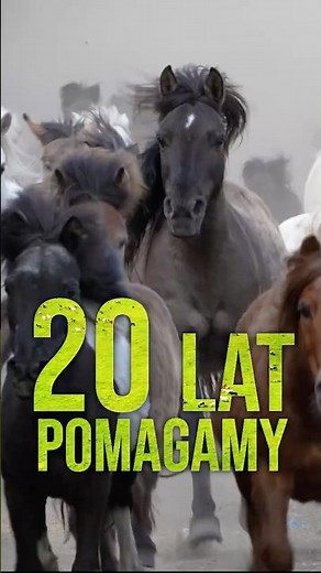 Over 20 years of the Centaurus Foundation, we have saved thousands of animals