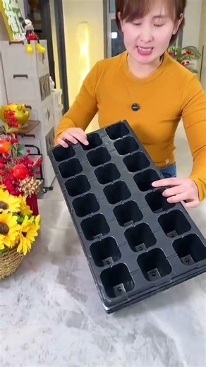 Top Quality Seedling Trays for Corn, Watermelon, Chili & More - 72 Hole Vegetable Trays