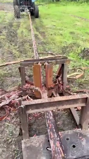 Wie eine Maschine die Rinde von Bäumen entfernt und warum das wichtig ist