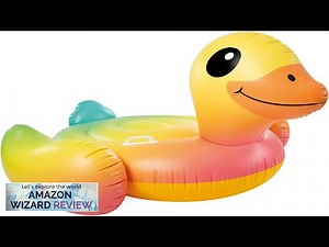 INTEX Ride-On Inflatable Pool Float Review