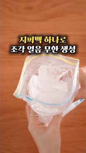 집에 있는 지퍼백으로 조각얼음부터 방진덮개까지! #살림꿀팁 #살림꿀팁 #살림노하우 #생활꿀팁 #자취꿀팁