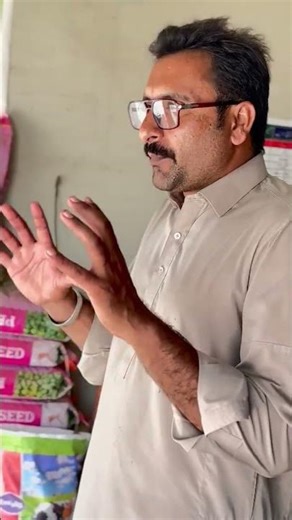 Pea A High Yielding & Income Generating Crop | Best Time to Sow Seeds Started