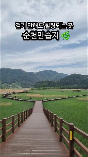 살맛나 순천만습지 투어 | 순천여행