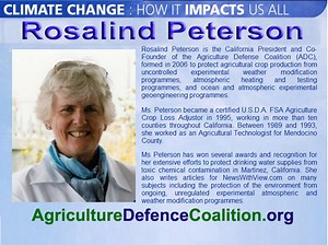 Celebrating the Life of Rosalind Peterson