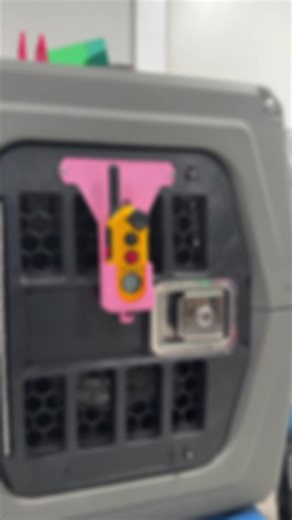 Effective Dog Organization Products for You and Your Pet