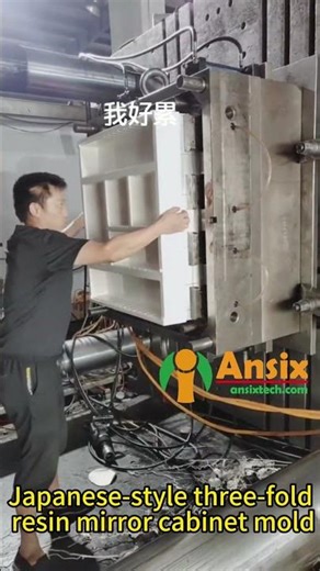 Japanese style three fold resin mirror cabinet mold #ansix #injection #factory