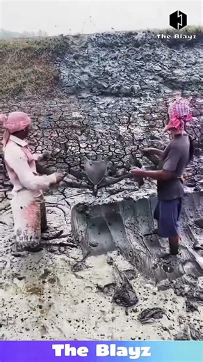 Traditional Bamboo Tool Soil Digging Method | Village People Smart Farming Technique