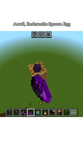 Anvil, Endermite Spawn Egg #minecraft #shorts