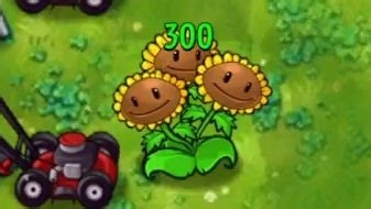 融合MOD植物：超级三子向日葵