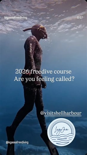 Shellharbour NSW Australia on Instagram: "@legaseafreediving adventure in Shellharbour an experience that will have you one with nature 💦"