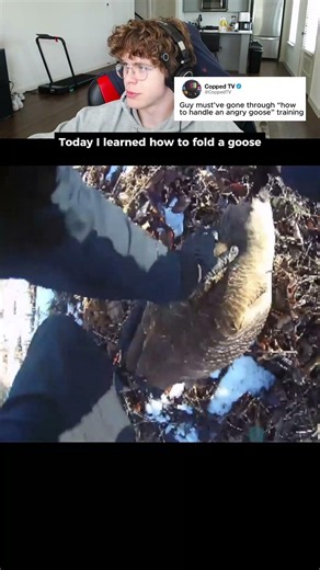 Today I learned how to fold a goose