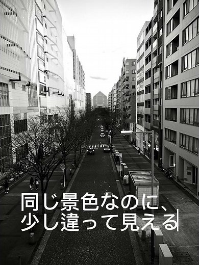 モノクロの散歩/A Monochrome Walk #モノクロ写真#モノクロ#写真好きな人と繋がりたい#monochrome#bnwphotography#monochromephotography