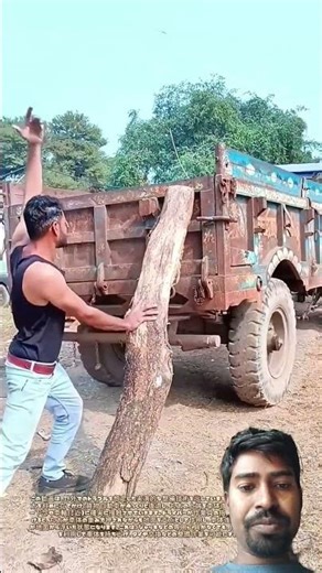 Car leaning against a tree: Learn natural jacking techniques for emergencies