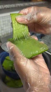 DIY Organic Detangler and Leave in Conditioner #curlyhair #organic #naturalhair #diy #aloevera