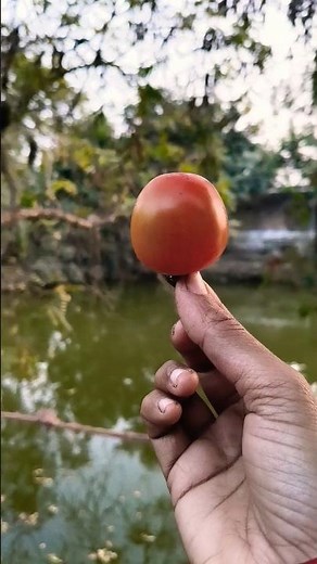 Hand Trick vs Big Bite = Gulp Drama! 😄😁😄