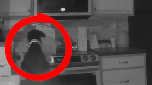 Couple who suffered house fire watched CCTV back and can't believe how it started