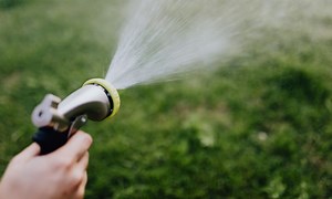 WATCH: DIY Garden Irrigation Systems: A How-To Guide | Southlands Sun