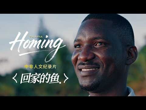 Homing: Fish-farming documentary links Taihu Lake and Lake Victoria