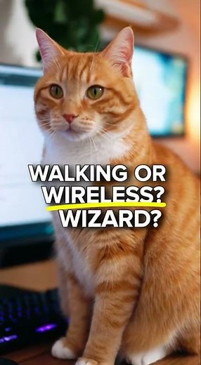 Cats vs. Computer: The Ultimate Battle of Wits