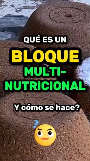 ¿Qué es un bloque multinutricional y cómo se hace? 👉Un bloque multinutricional es un preparado a base de materias primas como melaza, cemento, urea, harina de maíz, salvado de trigo y otros ingredientes para suplementar el ganado, especialmente en la temporada seca🥵 🤓La importancia del bloque radica en que libera lentamente la urea, la cual es proteína en alta concentración y de alta solubilidad, la cual mejora la condición corporal de tus ganados y la producción de leche. 🤠Hacer un bloque e