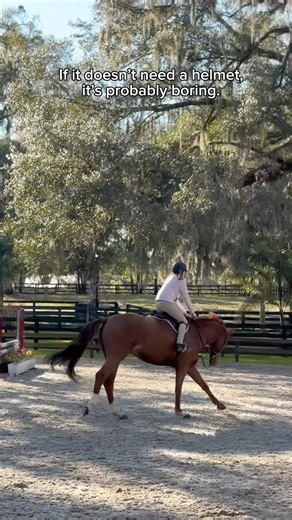 like… keep your other sport 😑 (jkjk) #blowup #horse #sports #equestrian #viralvideo #horsegirl