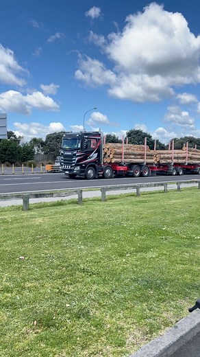 Sheesh 🤘‼️#scaniatrucks #logtruck #logtrucks Scania New Zealand | Rock on Trucking NZ