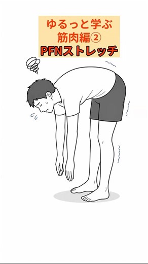 知らないと損するストレッチ