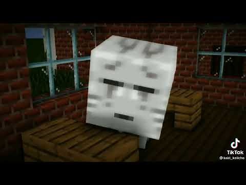 Wither Skeleton X Skeleton ll Monster School Edit