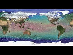 Ocean surface currents
