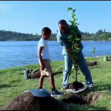 ችግኝ ተከላ በቢሾፍቱ -ጠቅላይ ሚኒስትር ዐቢይ አሕመድ (ዶ/ር) ETV | EBC | EBCDOTSTREAM