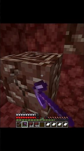 I Found The RAREST Block in Minecraft NETHER 🤯 (BEST LUCK EVER)