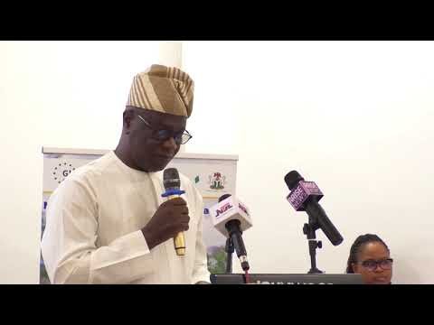 Boost for Renewable Energy: FG Unveils Solar Mini-Grid Framework
