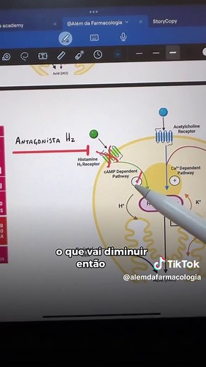 Famotidina: Para Que Serve e Diferenças com Omeprazol