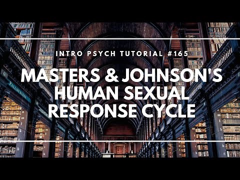 Masters & Johnson's Human Sexual Response Cycle (Intro Psych Tutorial #165)