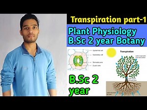 Transpiration in Plants / B.Sc 2 year Botany/ Plant physiology and Biochemistry