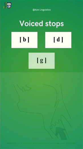 Stops, Fricatives, and Affricates: VOICING