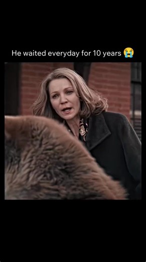 The Hub Movies on Instagram: "🎥 Hachi: A Dog’s Tale Hachi: A Dog’s Tale is a profoundly emotional story about loyalty, love, and unbreakable bonds. Based on a true story, the film follows the relationship between a man and his dog, Hachi, whose devotion continues even after tragedy strikes. With quiet storytelling and heartfelt moments, the film shows how love doesn’t need words to be powerful. Hachi’s unwavering loyalty becomes a symbol of pure connection, leaving viewers reflecting on compani