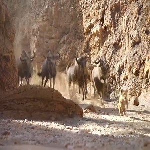 1M views · 10K reactions | Top movie Netflix 2024 #movie #clip #viral #monster #love #netflix #hollywood #marvelcomics #marvel #marvelmovies #ai #magic #ring #usa | Sina Cricket League Peshtoni | Facebook