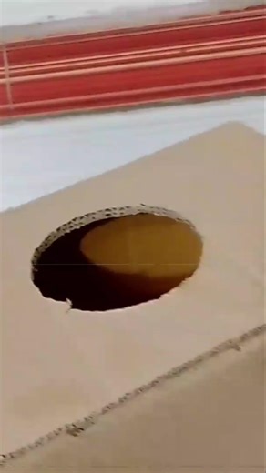 diy how to make cooler #shorts #ytshorts #trending #youtubeshorts #debhazproject786