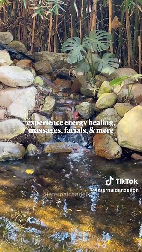 Discover Four Moons Spa: Your Secret Escape in Encinitas